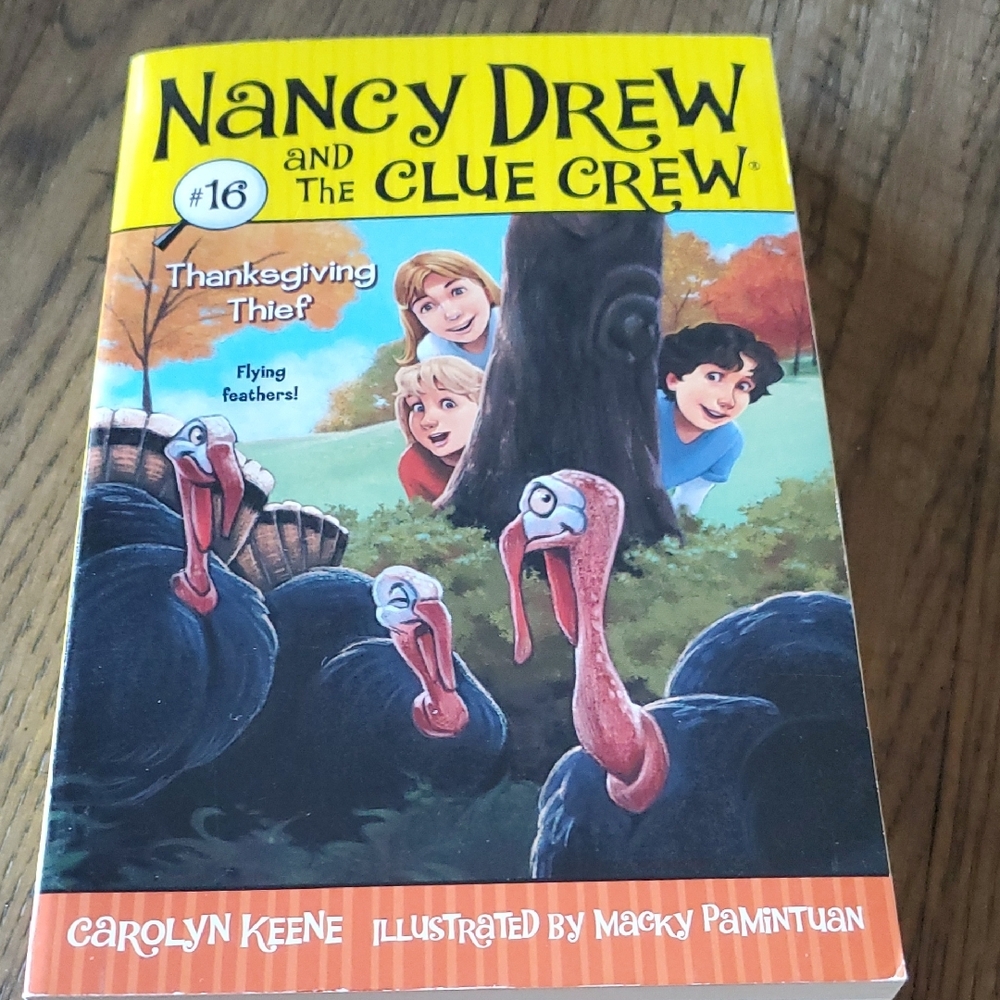 Nancy Drew and the Clue Crew Book Set - Picture 5 of 7